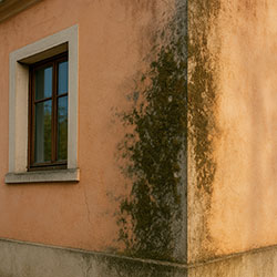 Entretien des façades et murs extérieurs